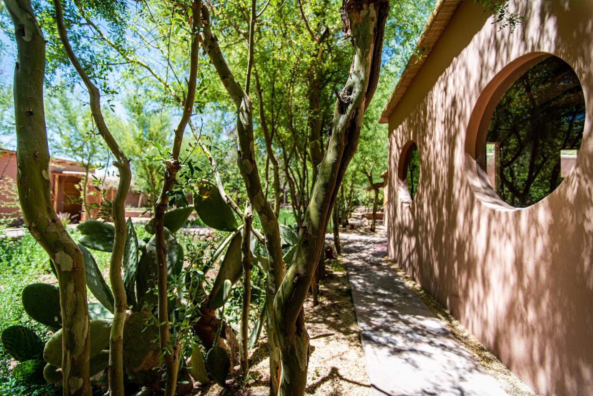 Naturalis Hotel San Pedro de Atacama Ngoại thất bức ảnh
